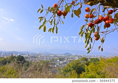 三輪山 三輪山 36944375