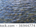texture of water in tiled pool. background, nature 36944774