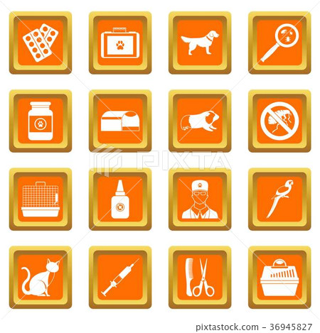 Veterinary icons set orange 36945827