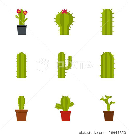 Types of cactus icon set, flat style 36945850