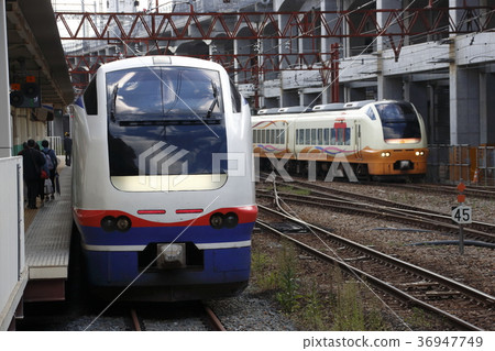 E653 trains lined up at Niigata station E653 trains lined up at Niigata station 36947749