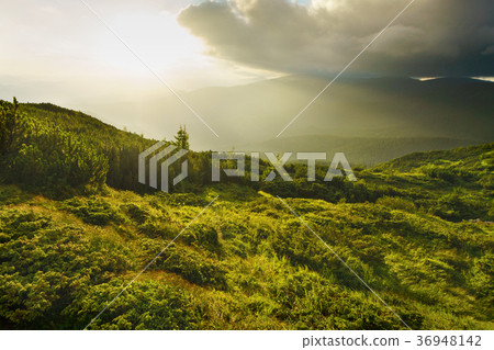 Mystic wilderness nature landscape. Mystic wilderness nature landscape. 36948142