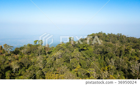 Landscape in Phu Hin Rong Kla National Park Landscape in Phu Hin Rong Kla National Park 36950024