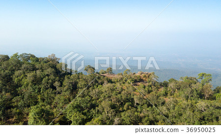 Landscape in Phu Hin Rong Kla National Park 36950025