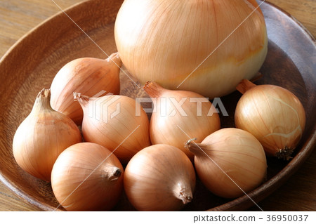 onion  36950037
