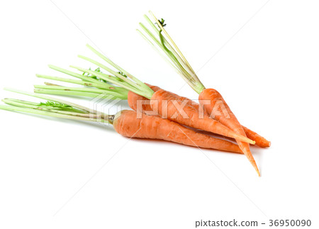 fresh carrot, baby carrot isolated on white fresh carrot, baby carrot isolated on white 36950090