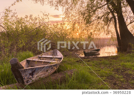 Fishing boats  on green grass water, sunrise. 36950228