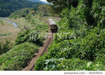 Watarasegawa和Watarase Valley Passage Road 36950604