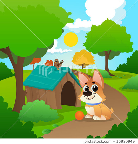 Smiling corgi sitting on path in park. Little bird Smiling corgi sitting on path in park. Little bird 36950949