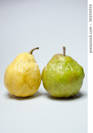 La France and Le Rectier 36950959