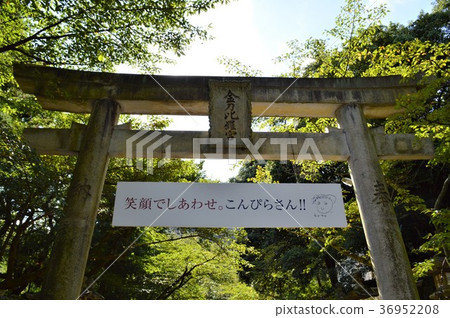 Konpira的Torii 36952208