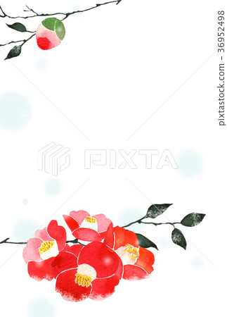 Persimmon Background Cold Weather Visiting Watercolor Illustration Persimmon Background Cold Weather Visiting Watercolor Illustration 36952498