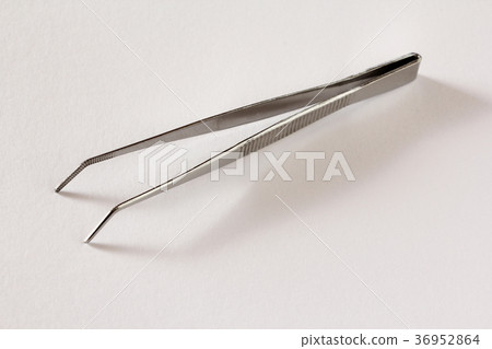 鑷子 36952864