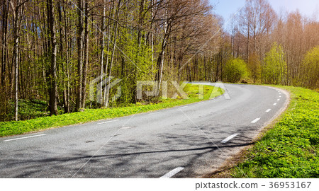 Road panorama on sunny spring evening Road panorama on sunny spring evening 36953167