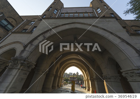 東大醫院 36954619