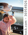 Girl and gull 36954926