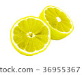 lemon 36955367
