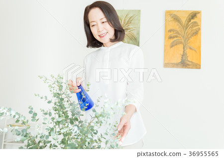 Senior lifestyle Senior lifestyle 36955565