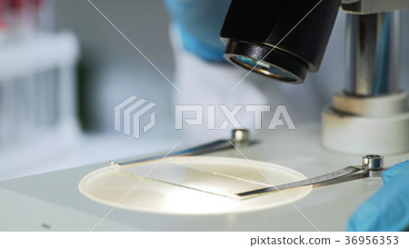 Close up of microscope and lab glass sample Close up of microscope and lab glass sample 36956353
