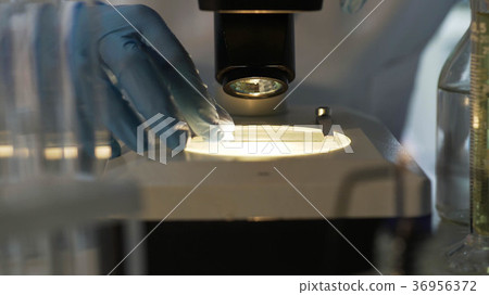 Medical scientist viewing material sample under Medical scientist viewing material sample under 36956372