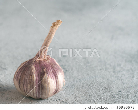 Garlic Bulb on gray cement background Garlic Bulb on gray cement background 36956675