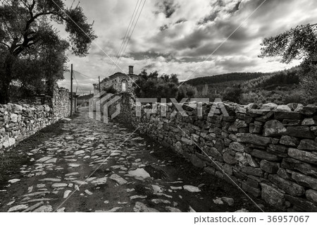 Stratonikeia ancient city Eskihisar,,Mugla,Turkey Stratonikeia ancient city Eskihisar,,Mugla,Turkey 36957067