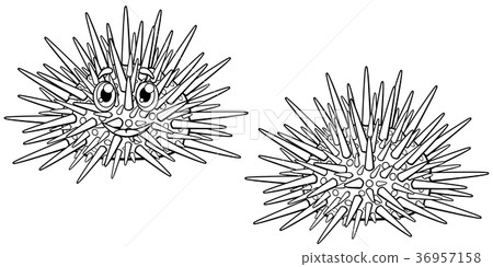 Cute cartoon sea hedgehog outline 36957158