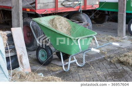 Wheelbarrow on a farm 36957604