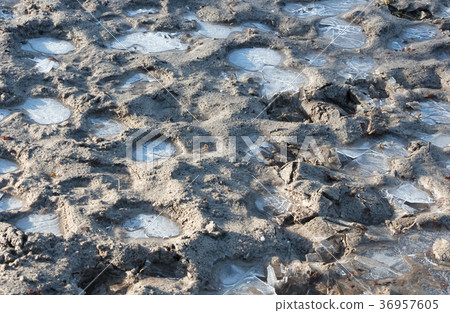 Frozen ground in a farm 36957605