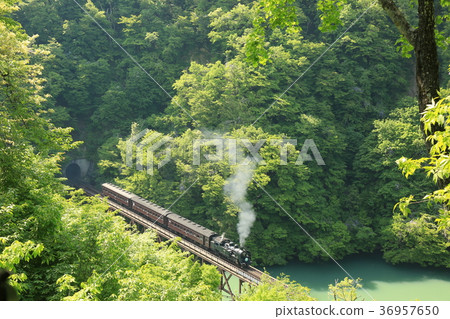 SL Toda Line 36957650