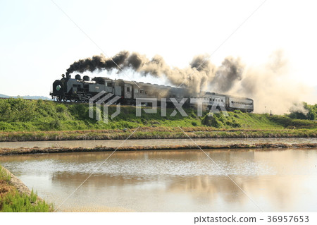 SL戶田線 36957653