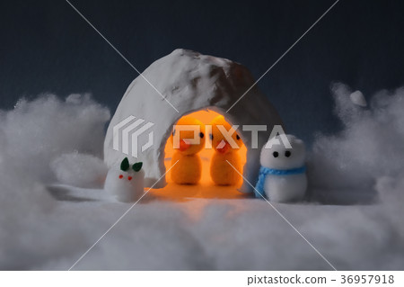 Piyo-chan's play at night with snowman and snow rabbit together Piyo-chan's play at night with snowman and snow rabbit together 36957918