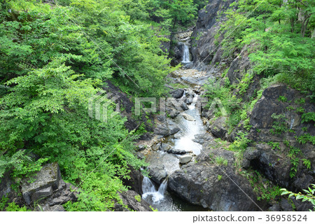 沃塔拉塞山谷綠意盎然：清澈的溪流和初夏的療癒景色交織成美麗的自然風光。 36958524