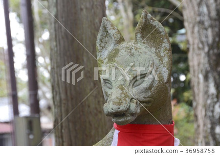 A stone image of a fox (Mastaro Inari Shrine / Nishinokyocho, Nara City, Nara Prefecture) A stone image of a fox (Mastaro Inari Shrine / Nishinokyocho, Nara City, Nara Prefecture) 36958758