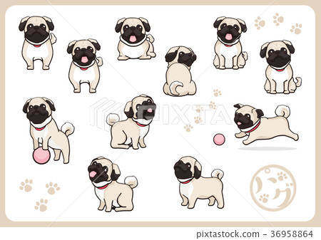 Pug 01 36958864