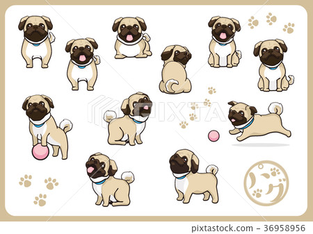 Pug 04 Pug 04 36958956