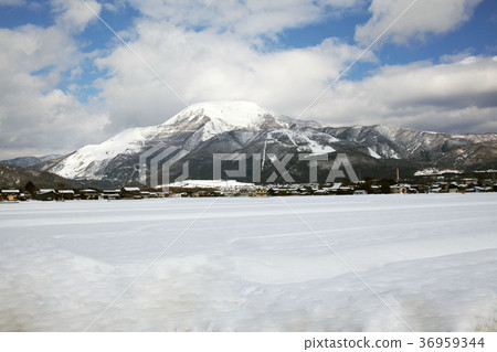 Ibukiyama 1冬天 36959344