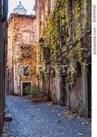 歐洲意大利的小巷 36959492