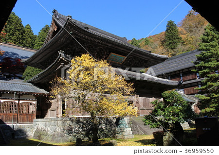 在秋葉包裹的Eijiira寺廟。福井縣 在秋葉包裹的Eijiira寺廟。福井縣 36959550