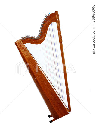 Paraguay's Latin Harp, Alpa 36960000