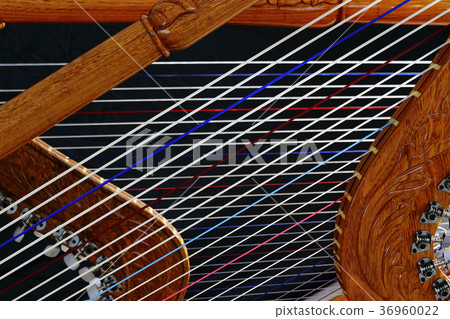 Paraguay's Latin Harp, Alpa Paraguay's Latin Harp, Alpa 36960022