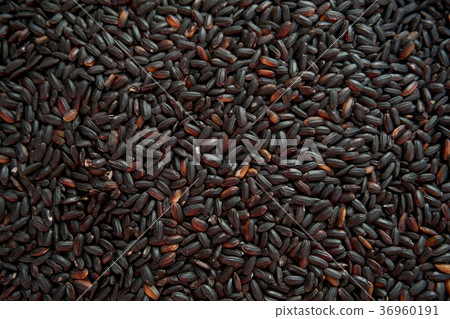 One of the grains,black rice. One of the grains,black rice. 36960191