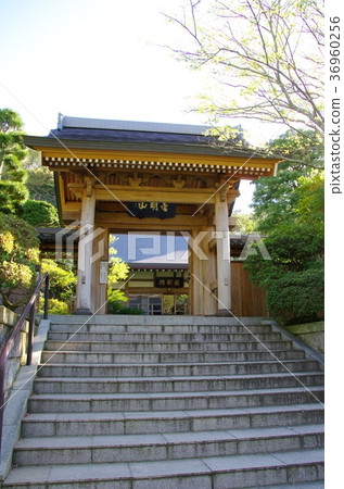 Shihoin（鎌倉市） 36960256