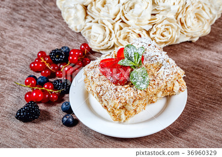 Napoleon Napoleon 36960329