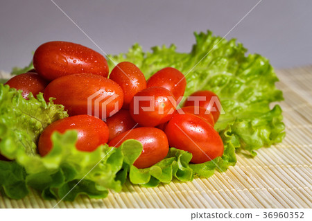 Tomatoes and lettuce 36960352