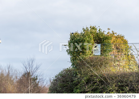 Generic CCTV in Operation Warning Sign on bushes 36960479