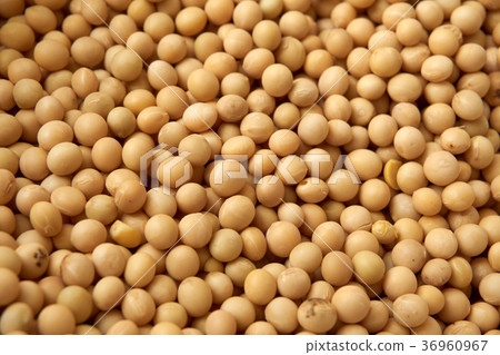soya beans. 36960967