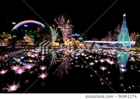 足利花卉公園照明 36961274