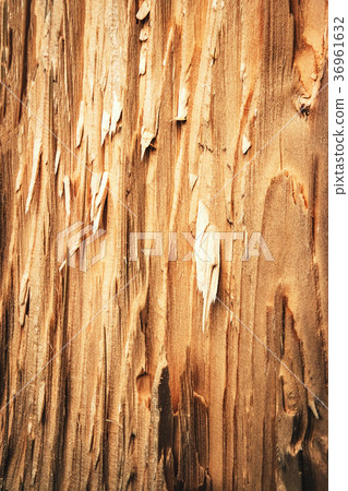 abstract detail of broken wood abstract detail of broken wood 36961632