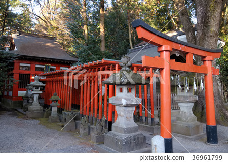Utsunomiya Futarayama Shrine Hatsuo Inari Shrine 36961799
